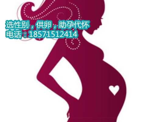 成都代怀的技术基础,台湾试管婴儿多少钱