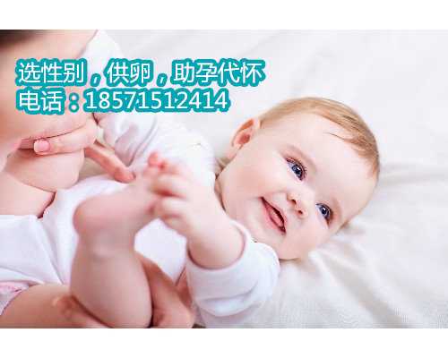 <b>成都代怀公司官网网站,深圳那家医院做三代试管选性别-试管婴儿流程有哪些</b>