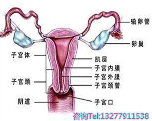 成都代怀生代怀孩子,怀柔试管婴儿等辅助生殖术能否挑战人类生育极限