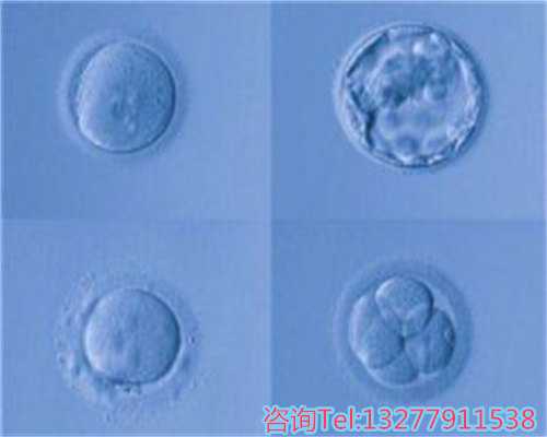 成都试管代生子机构，第三代试管婴儿技术的优势都有哪些