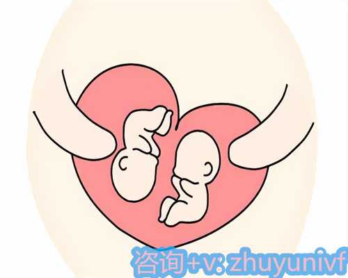 成都代怀助孕，鲜胚试管移植优质胚胎成功率高！鲜胚移植都是优质胚胎吗！