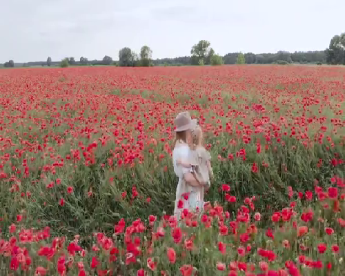 成都试管代怀，始基子宫能治好吗,治疗始基子宫大概需要多少钱
