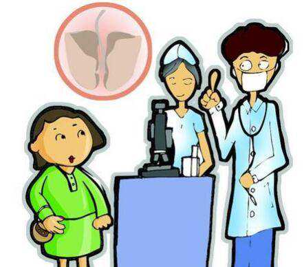 怎么看卵泡质量好不好？女性吃什么可以增加卵泡数量和质量呢？