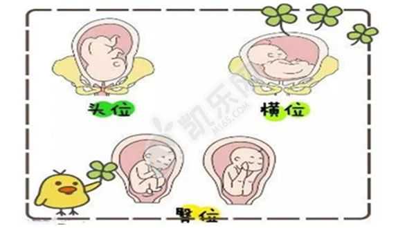 <b>专业成都代怀孕机构,重庆医院做试管婴儿需要花费多少费用</b>
