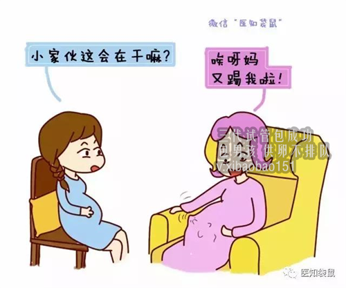 成都代怀代生宝宝费用,杭州第三代试管婴儿医生有哪些